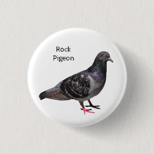 Badge Rond 2,50 Cm Pigeon