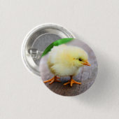 Badge Rond 2,50 Cm Pin de poussin (Devant & derrière)