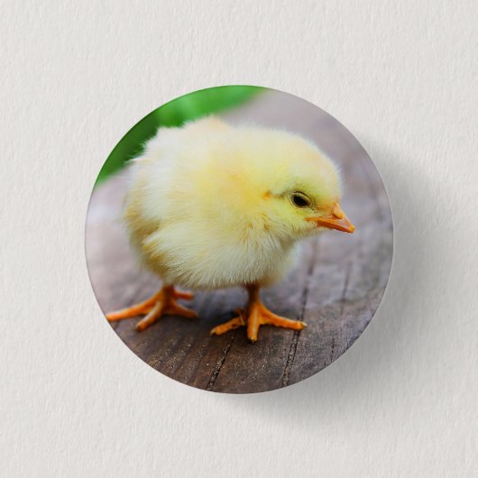 Badge Rond 2,50 Cm Pin de poussin (Devant)