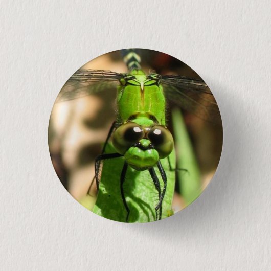 Badge Rond 2,50 Cm Pin d'Eco "de dragon vert" (Devant)