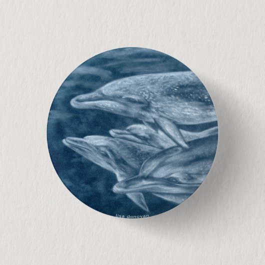 Badge Rond 2,50 Cm Pin repéré de dauphins (Devant)