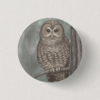 Badge Rond 2,50 Cm Pin repéré de hibou