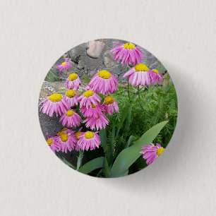 Badge Rond 2,50 Cm Pink Peint marguerite Fleurs Nature photographie