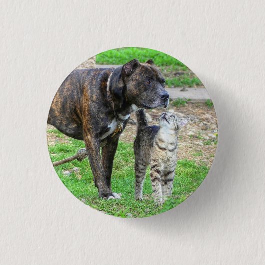 Badge Rond 2,50 Cm Pit Bull et Cat (Devant)