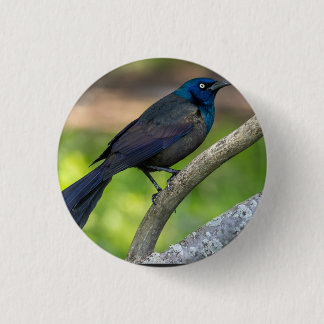 Badge Rond 2,50 Cm Plumes d'acier. Quiscale