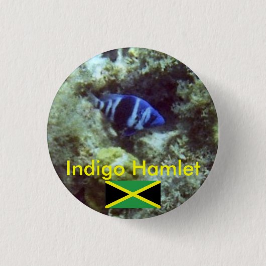Badge Rond 2,50 Cm Poissons mignons, indigo Hamlet, Jamaïque (Devant)