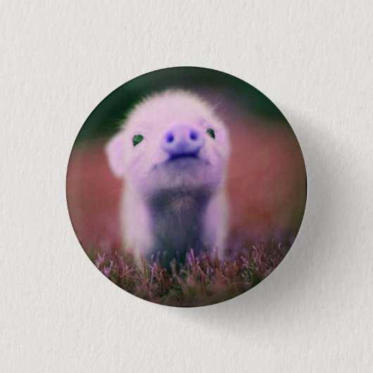 Badge Rond 2,50 Cm porc drôle (Devant)