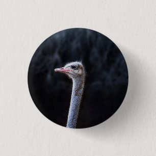 Badge Rond 2,50 Cm portrait d'autruche