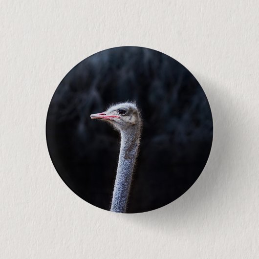 Badge Rond 2,50 Cm portrait d'autruche (Devant)