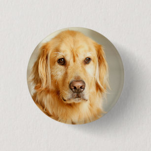 Badge Rond 2,50 Cm Portrait de Golden Retriever