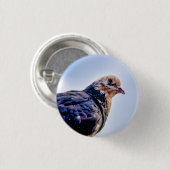 Badge Rond 2,50 Cm Portrait de Pigeon (Devant & derrière)