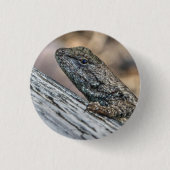 Badge Rond 2,50 Cm Prairie Lizard (Devant)
