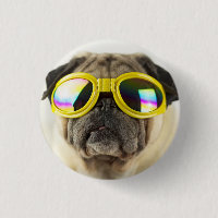 Pug with Goggles