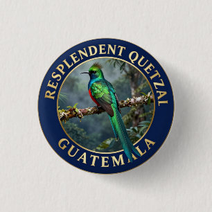 Badge Rond 2,50 Cm 🐦 Quetzal resplendissant Guatemala Oiseau exotiqu