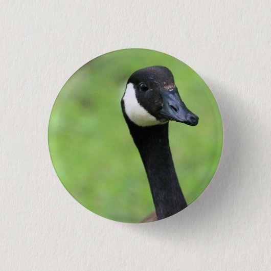 Badge Rond 2,50 Cm Quoi ? (Devant)