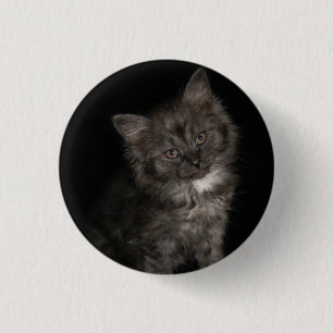 Badge Rond 2,50 Cm Ragdoll kitten ragdoll chat visage noir blanc chat