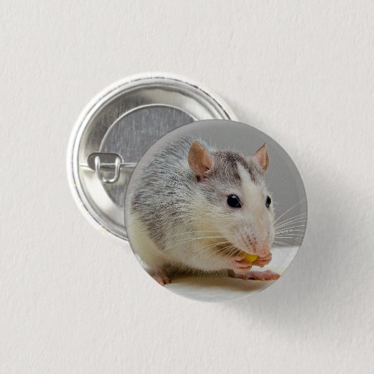 Badge Rond 2,50 Cm Rat gris et blanc (Devant & derrière)