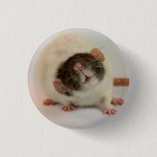 Badge Rond 2,50 Cm Rat noir dumbo