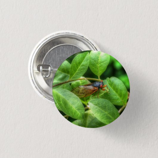 Badge Rond 2,50 Cm Red Eyed Cicada (Devant & derrière)