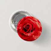 Badge Rond 2,50 Cm Red rose flower (Devant & derrière)