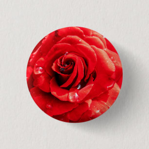 Badge Rond 2,50 Cm Red rose flower