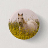 Badge Rond 2,50 Cm Ressort (Devant)