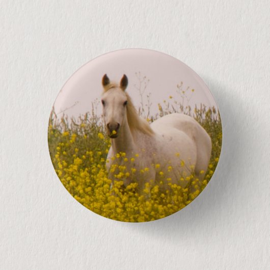 Badge Rond 2,50 Cm Ressort (Devant)