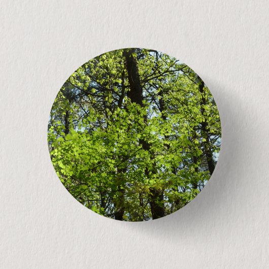 Badge Rond 2,50 Cm Ressource Feuille (Devant)