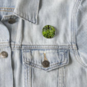 Badge Rond 2,50 Cm Ressource Feuille (En situation)