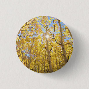 Badge Rond 2,50 Cm Résumé de Gilia parmi les fleurs sauvages Califo