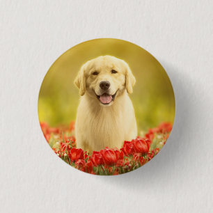 Badge Rond 2,50 Cm Retraité d'or dans les fleurs rouges