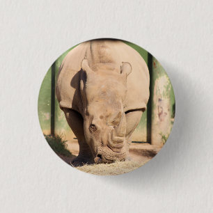 Badge Rond 2,50 Cm rhinocéros blanc