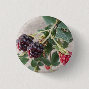 Badge Rond 2,50 Cm Ripening Blackberry