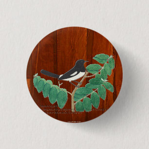 Badge Rond 2,50 Cm Robin à tarte orientale