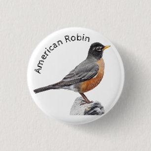Badge Rond 2,50 Cm Robin américain