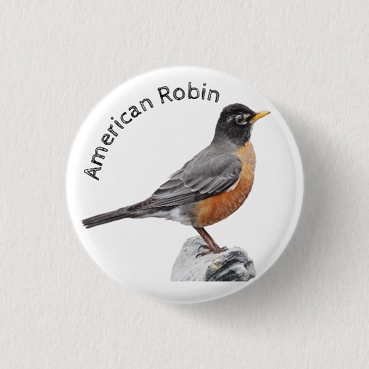 Badge Rond 2,50 Cm Robin américain (Devant)