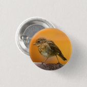 Badge Rond 2,50 Cm Robin Bébé Sur Une Branche D'Arbre (Devant & derrière)