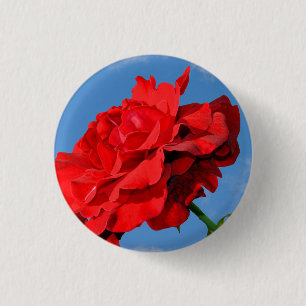 Badge Rond 2,50 Cm Rosa Don Juan rose avec le ciel bleu