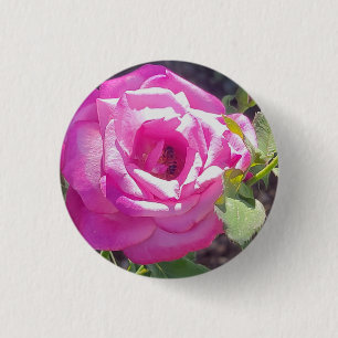 Badge Rond 2,50 Cm Rose rose avec un bouton d'abeille