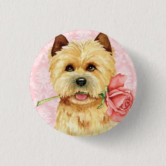 Badge Rond 2,50 Cm Rose Valentin Cairn Terrier Button (Devant)