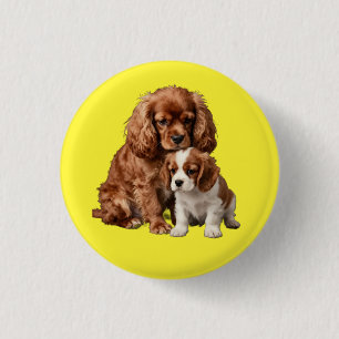 Badge Rond 2,50 Cm Ruby Cavalier Spaniel et son chiot Blenheim