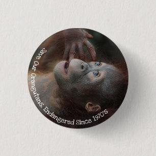Badge Rond 2,50 Cm Sauvez nos Orangutans