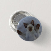 Badge Rond 2,50 Cm Siamese cat button (Devant & derrière)