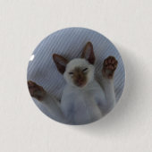 Badge Rond 2,50 Cm Siamese cat button (Devant)