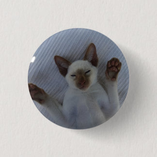 Badge Rond 2,50 Cm Siamese cat button