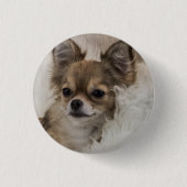 Badge Rond 2,50 Cm Spoilt Chihuahua Relaxing (Devant)