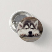 Badge Rond 2,50 Cm Sweet Sibérie Husky Puppy Sleeping (Devant & derrière)
