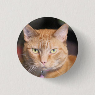 Badge Rond 2,50 Cm T-shirt