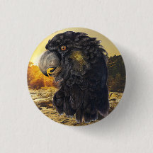 Tête d'oiseau