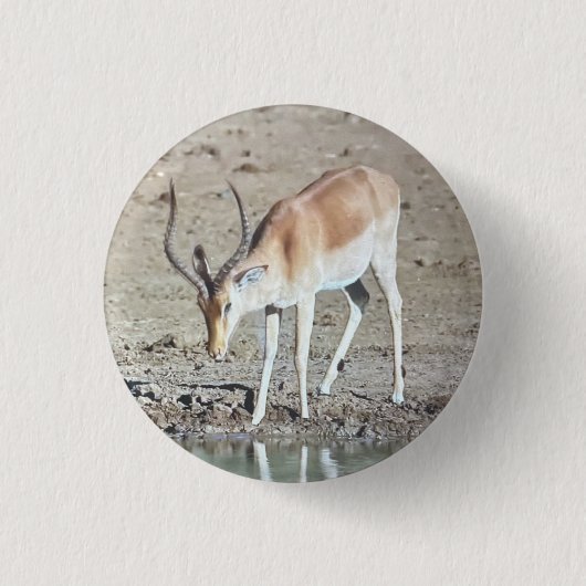 Badge Rond 2,50 Cm The antelope,  (Devant)